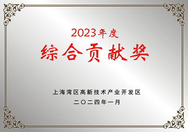 Comprehensive Contribution Award